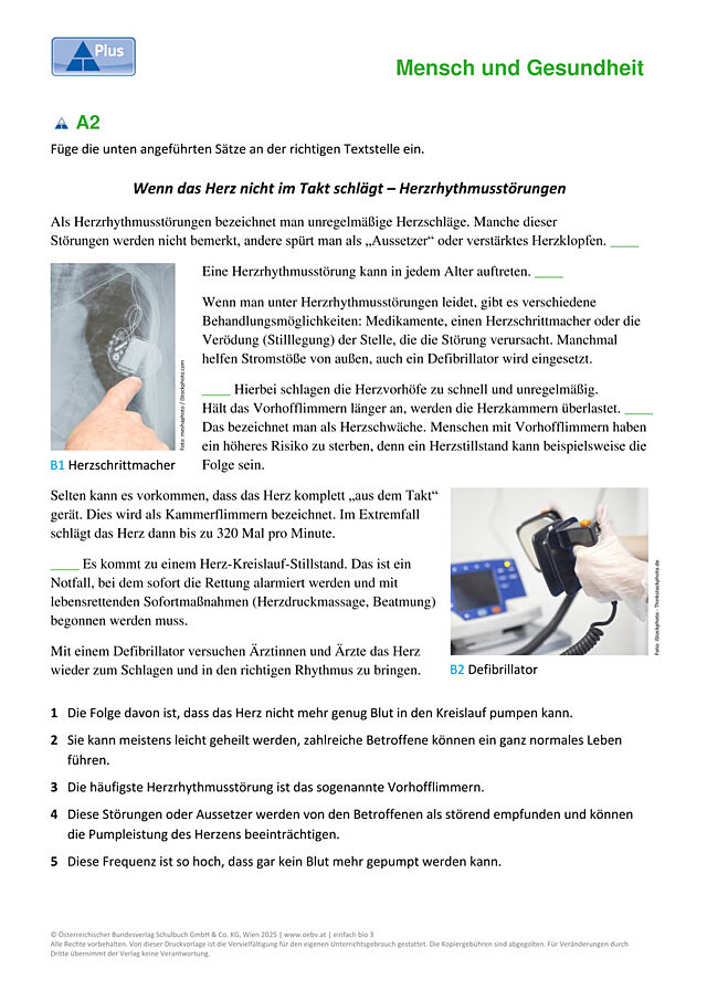 Kreislaufsystem