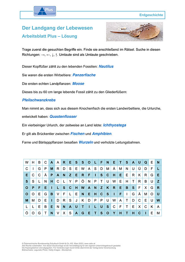 Der Landgang der Lebewesen