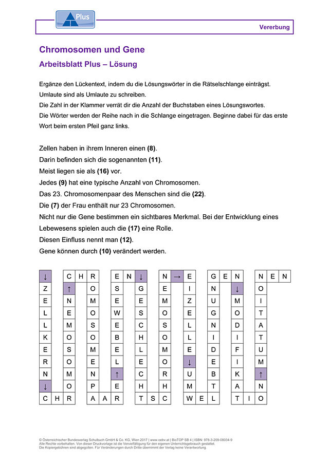 Chromosomen und Gene