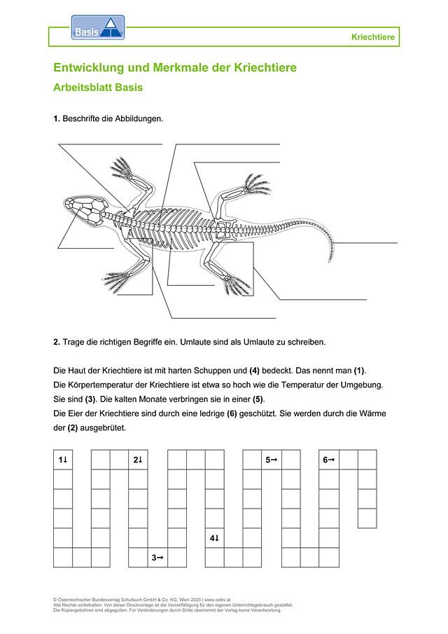 Kriechtiere