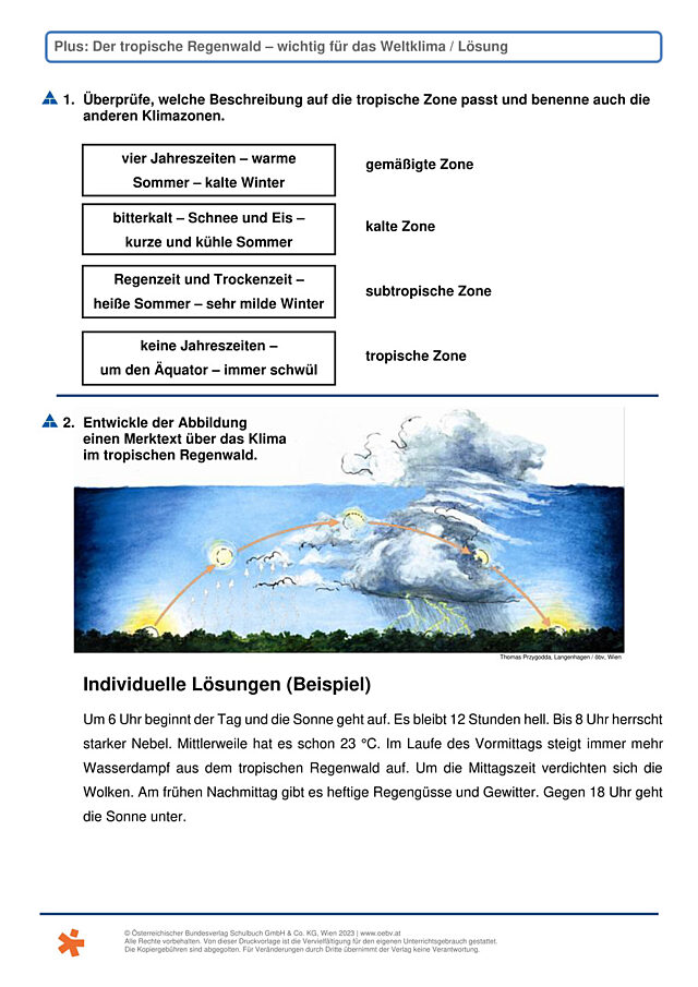 Regenwald und Weltklima