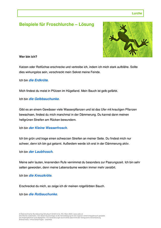 Froschlurche