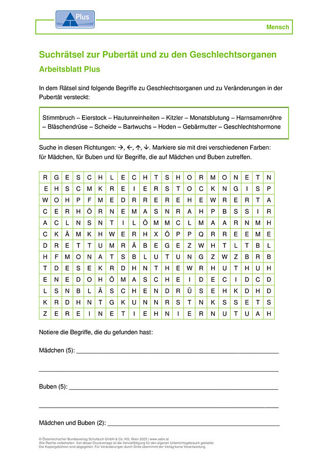 Geschlechtsorgane