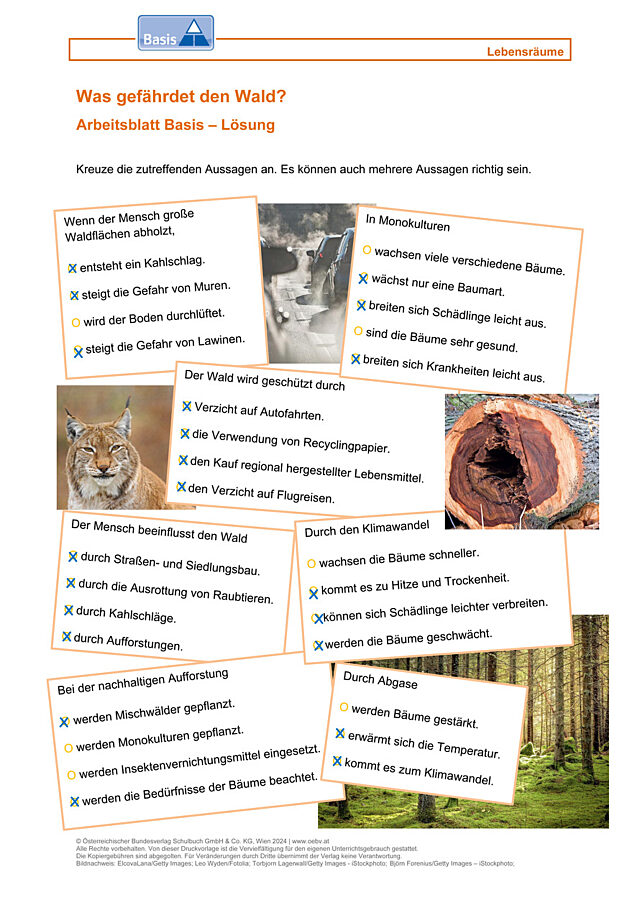 Waldgefährdung