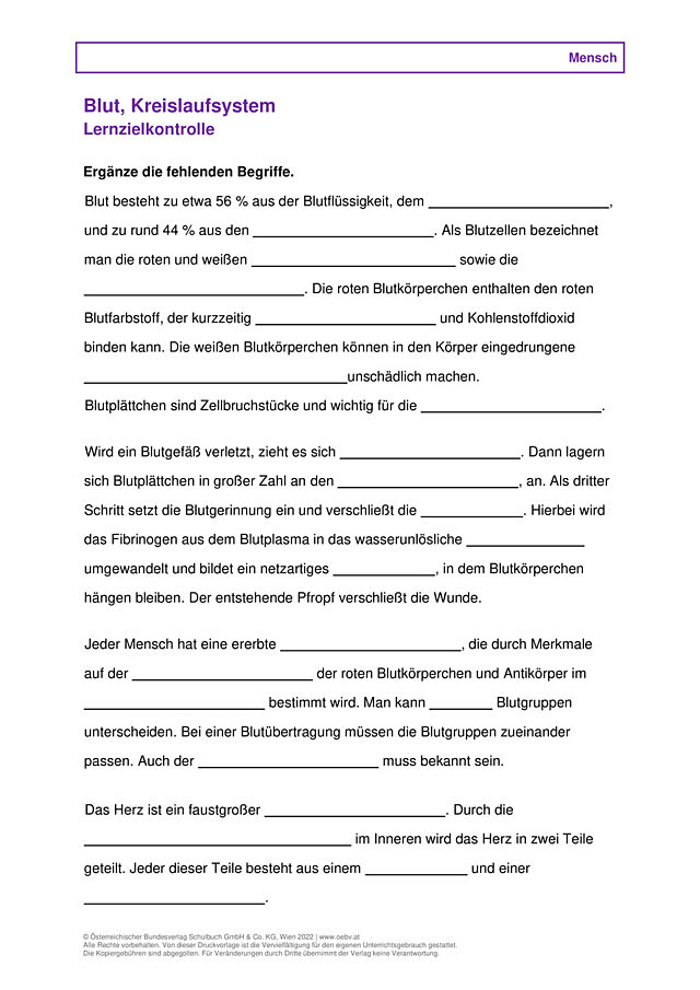 Blut, Kreislaufsystem