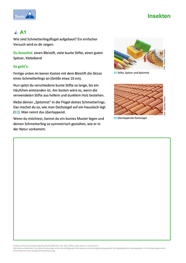 Schmetterlinge