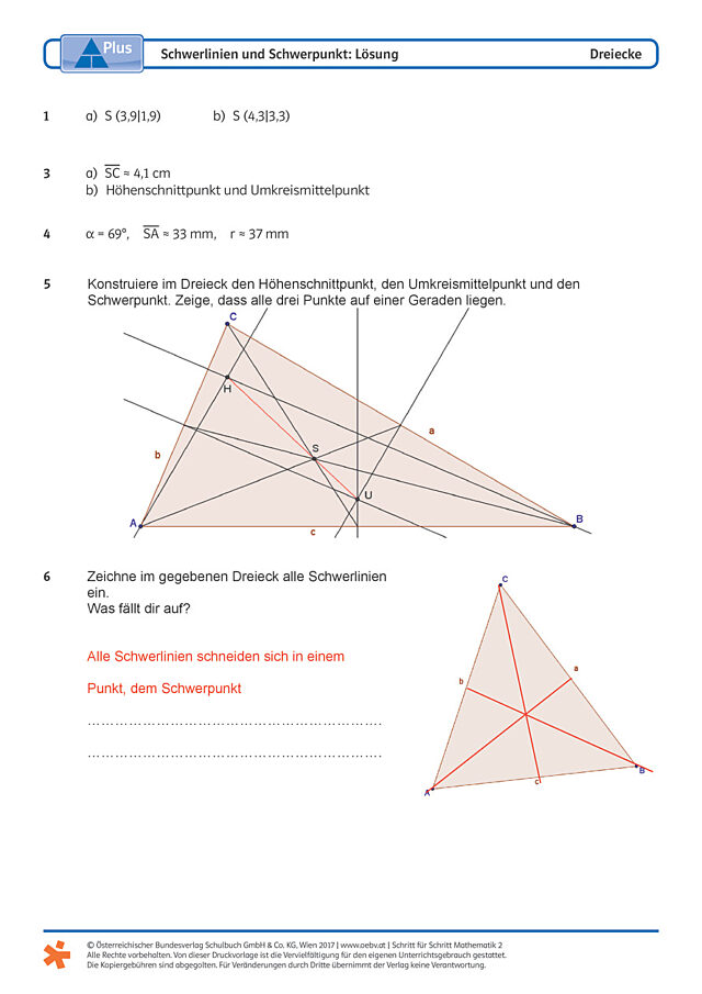 Schwerlinien und Schwerpunkt