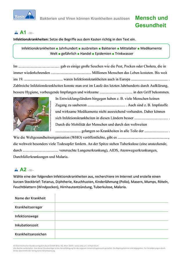 Bakterien und Viren