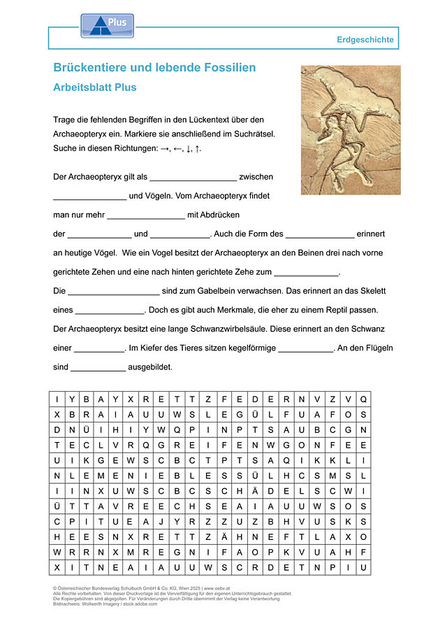 Brückentiere und lebende Fossilien