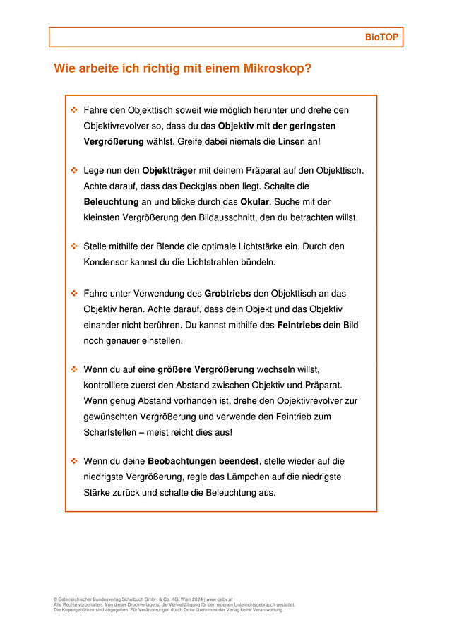 Arbeit mit dem Mikroskop