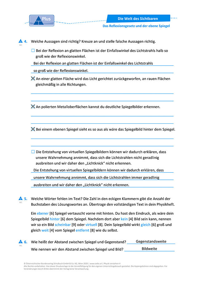 Das Reflexionsgesetz und der ebene Spiegel