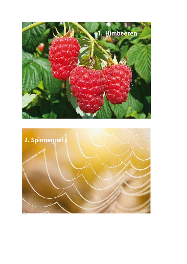 Bilderrätsel.pdf