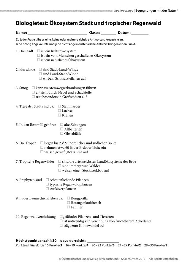 Ökosystem Stadt und tropischer Regenwald