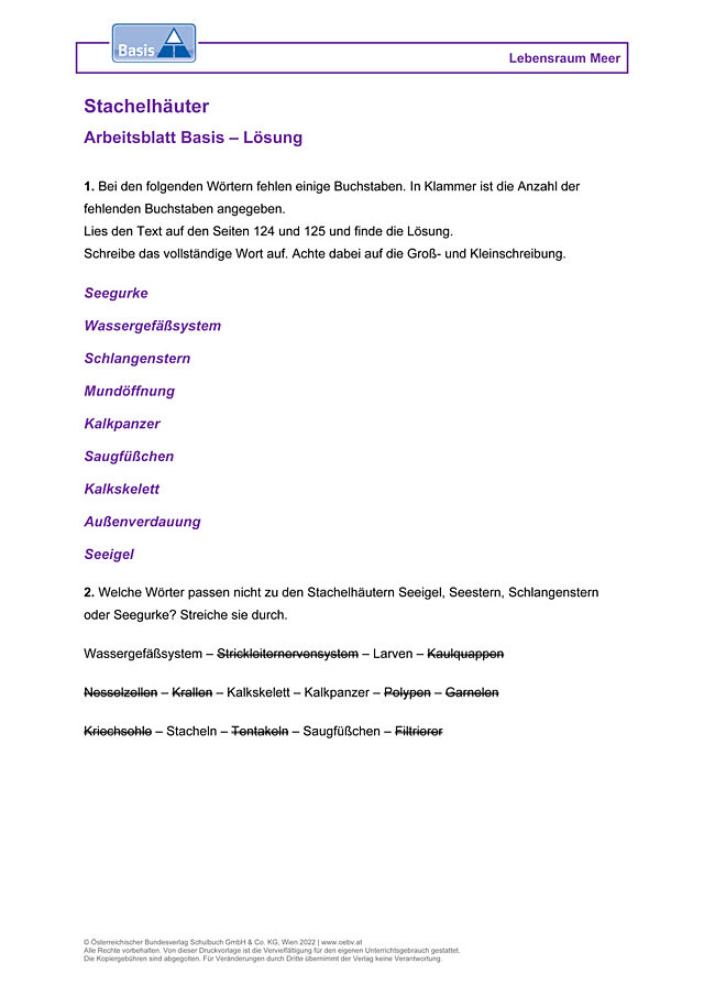 Stachelhäuter