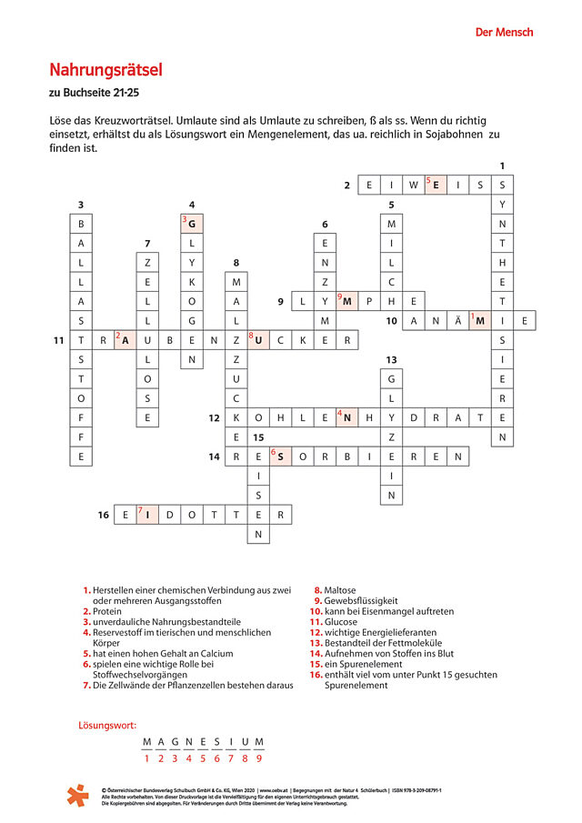 Nahrungsrätsel