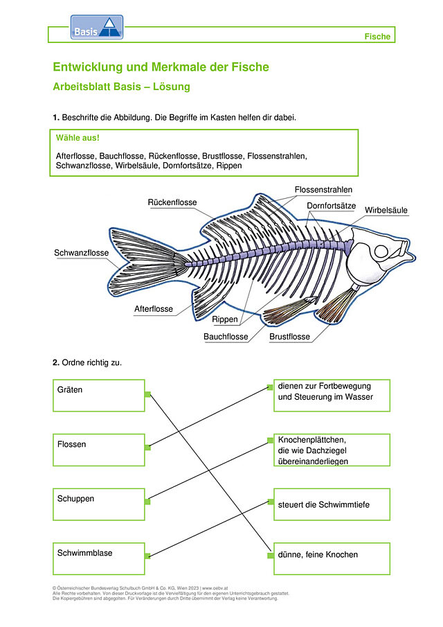 Fische