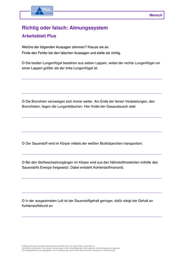 Richtig oder falsch: Atmungssystem