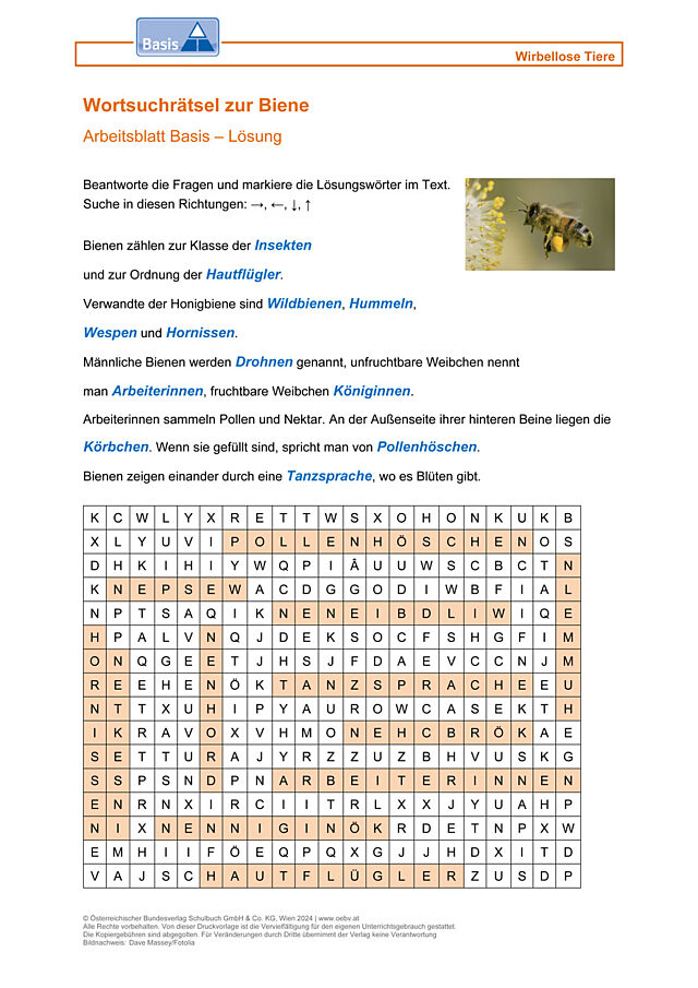 Bienen