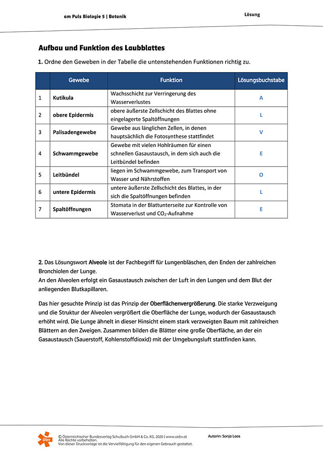 Aufbau und Funktion des Laubblattes