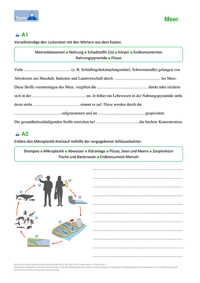 Ozeane in Gefahr