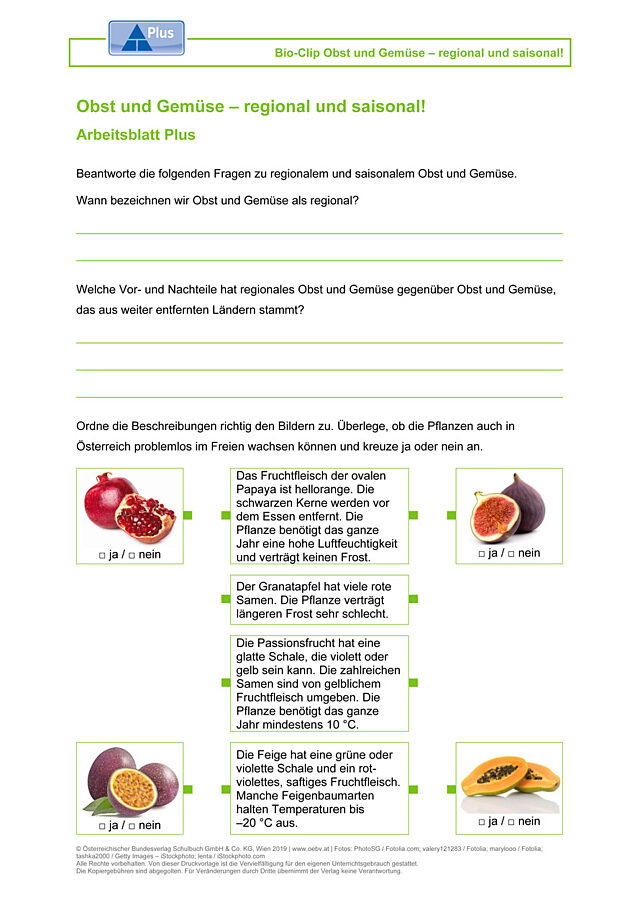 Obst und Gemüse – regional und saisonal!