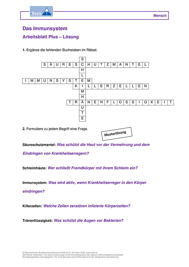 Immunsystem