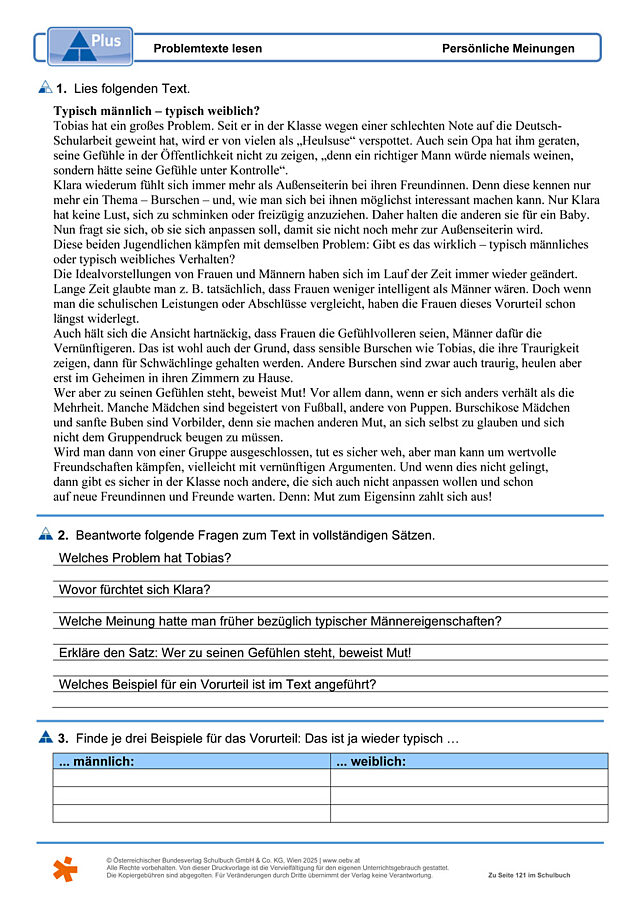 Problemtexte lesen 0409