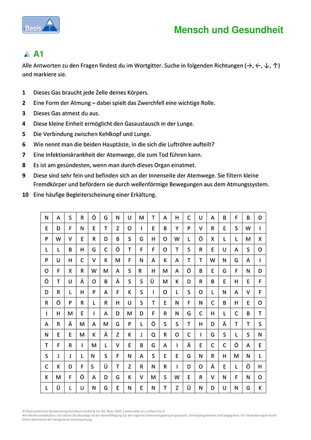 Atmung des Menschen