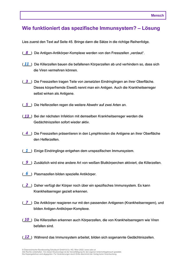Wie funktioniert das spezifische Immunsystem?