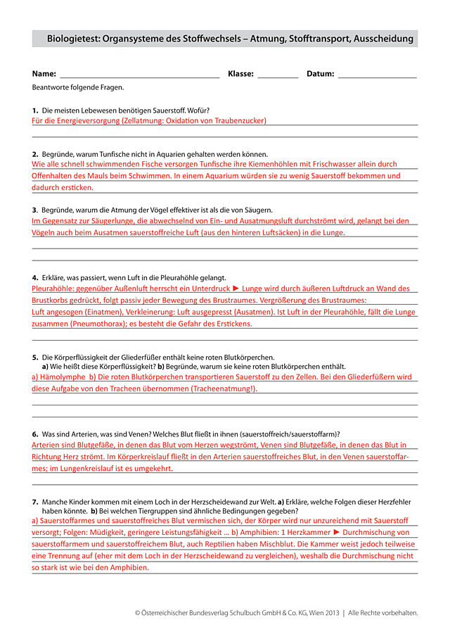 Biologietest: Organsysteme des Stoffwechsels – Atmung, Stofftransport, Ausscheidung