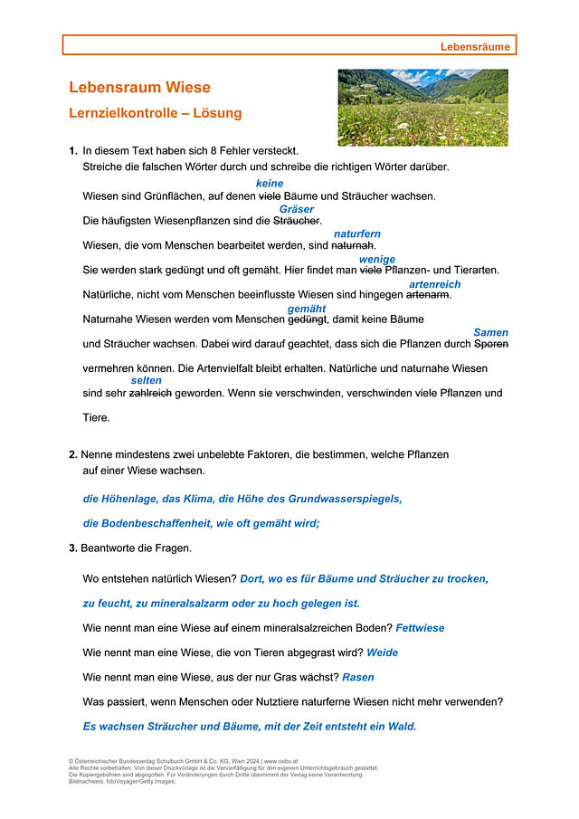 Lebensraum, Wiese