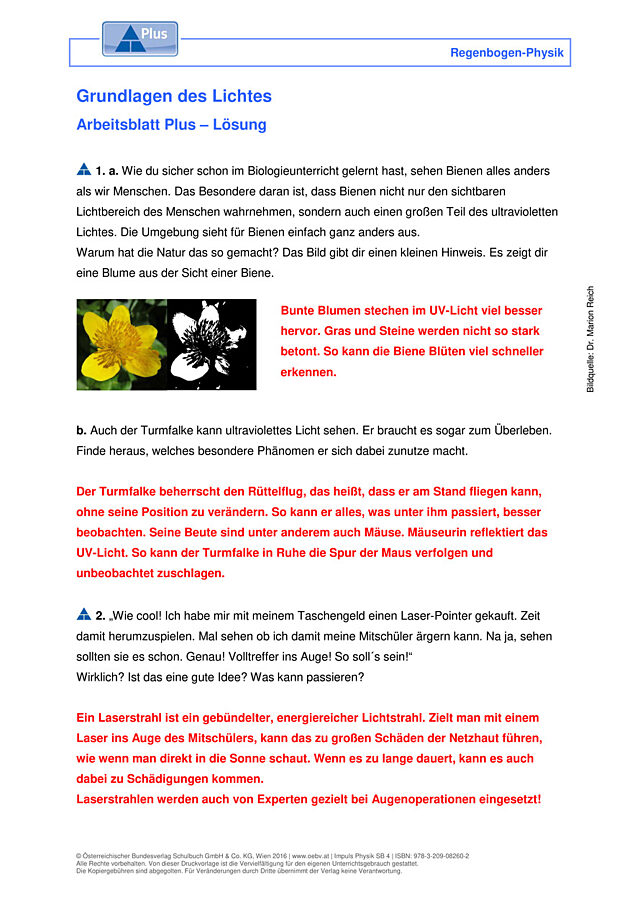 Grundlagen des Lichtes