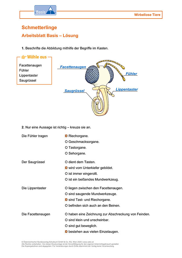 Schmetterlinge