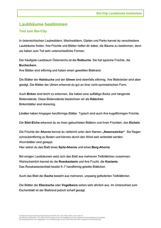 Laubbäume bestimmen Transkript
