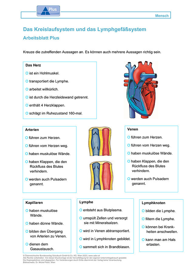 Das Kreislaufsystem und das Lymphgefäßsystem