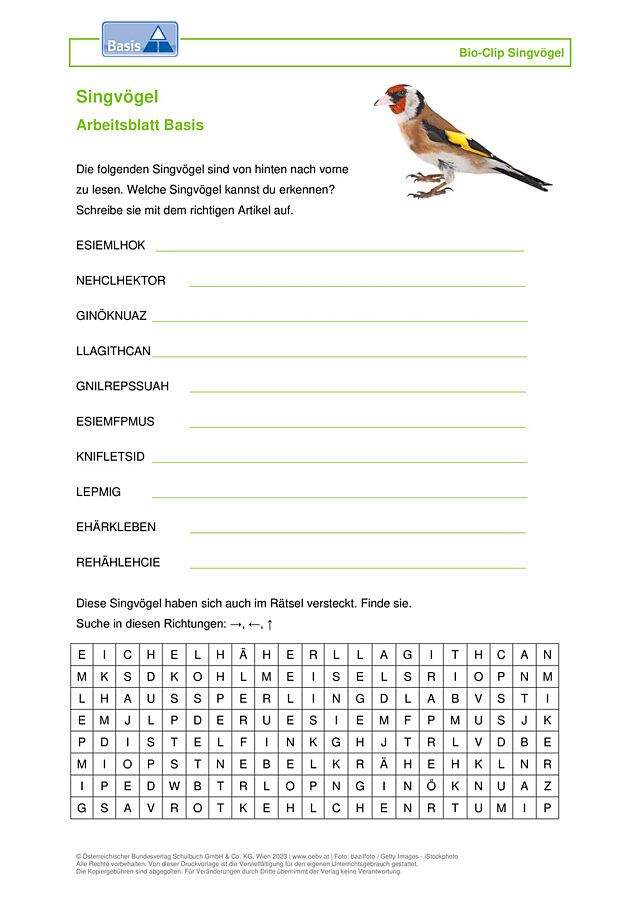 Singvögel