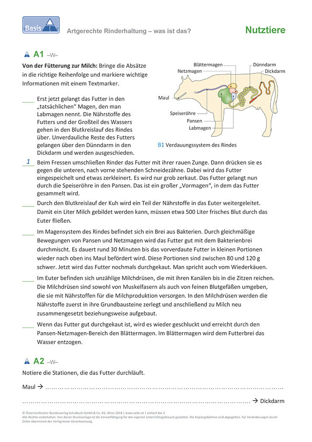 Rinderhaltung