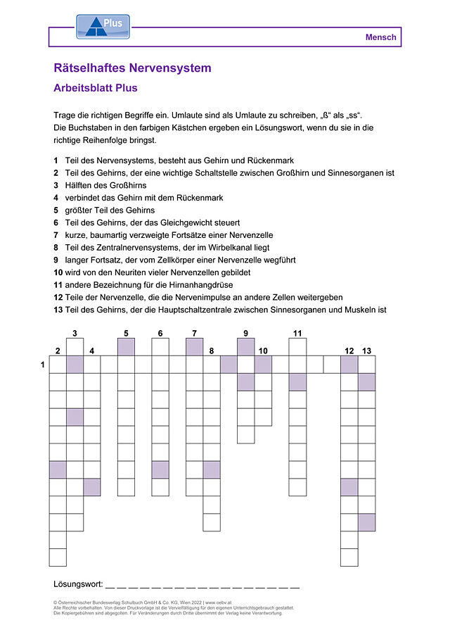 Rätselhaftes Nervensystem