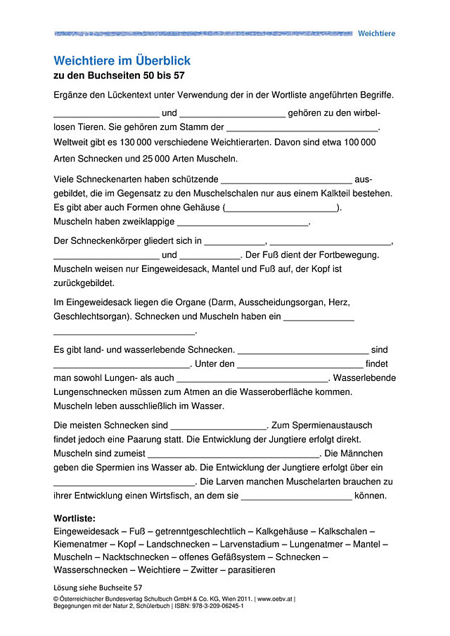 Weichtiere im Überblick