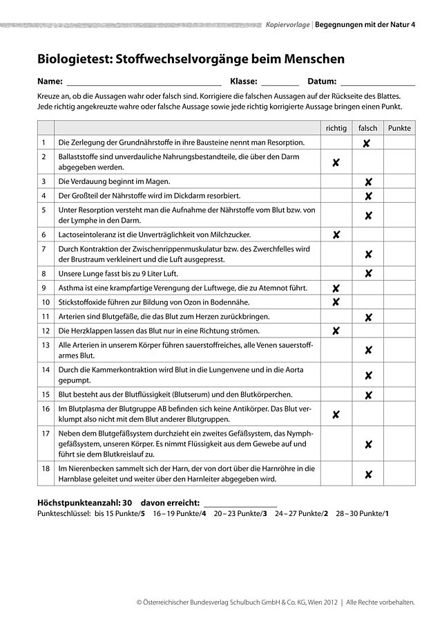 Stoffwechselvorgänge beim Menschen