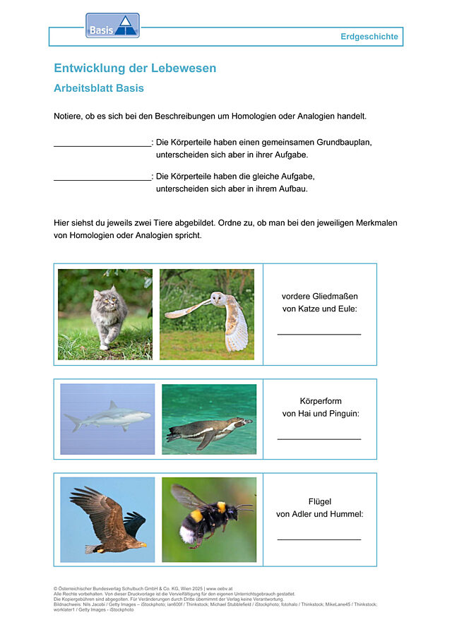 Entwicklung der Lebewesen