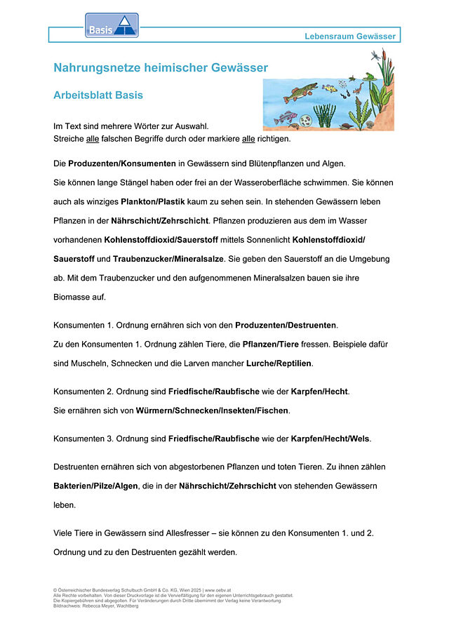 Nahrungsnetze heimischer Gewässer