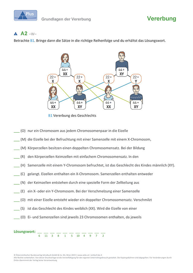 Grundlagen der Vererbung
