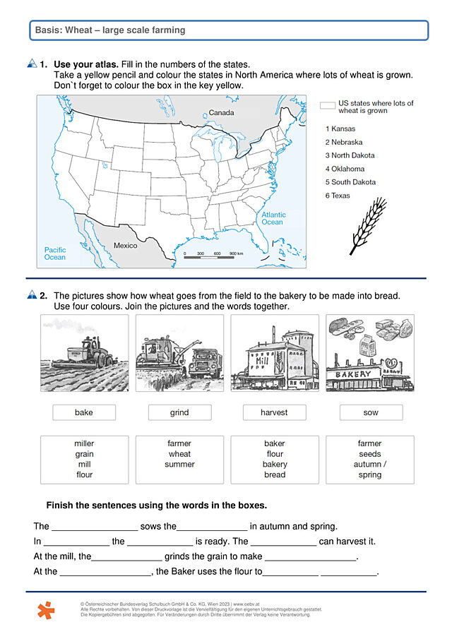 Wheat - large scale farming