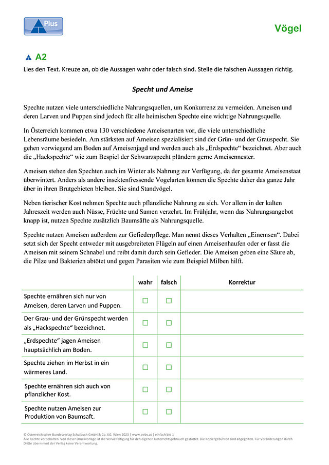 Spechte