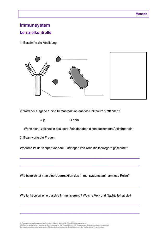 Immunsystem