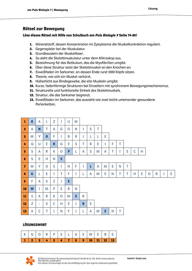 Rätsel zur Bewegung