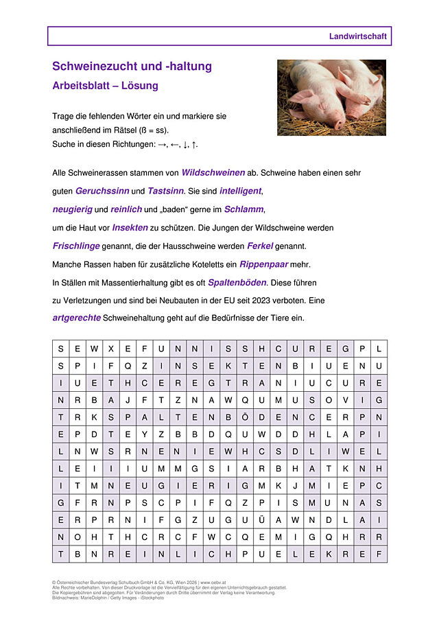 Schweinezucht und -haltung