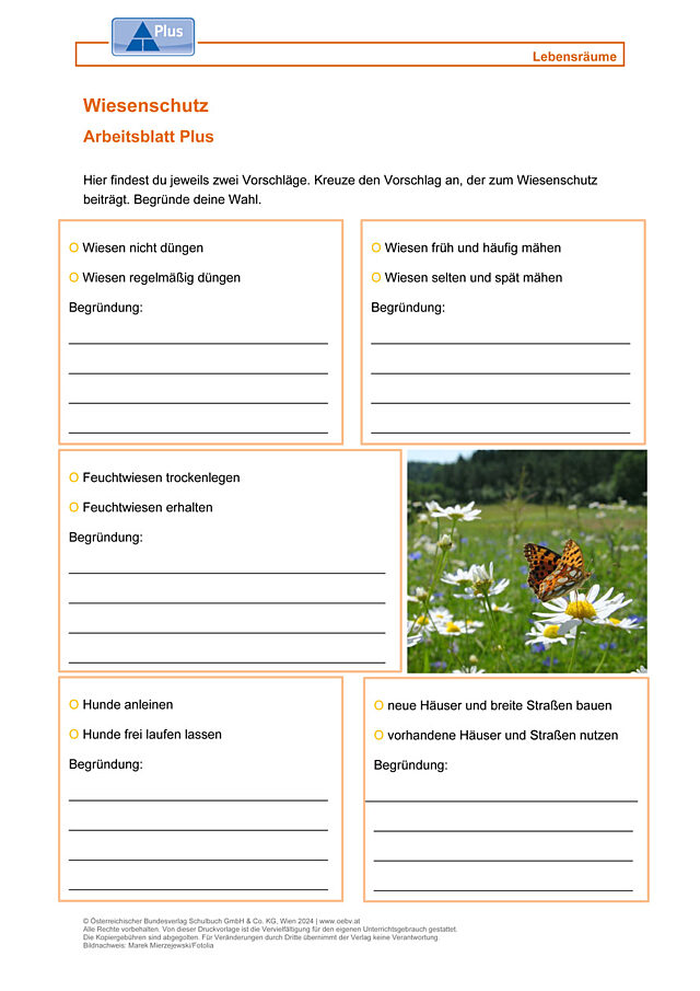 Wiesenschutz
