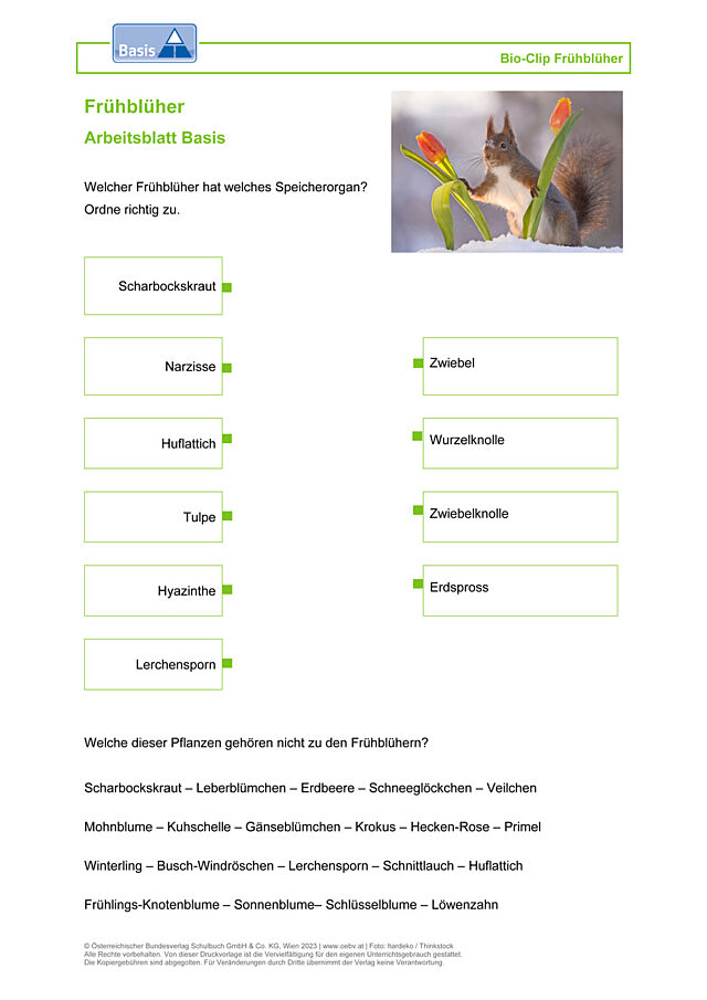Frühblüher